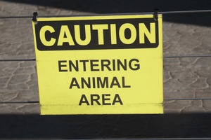 321-2225 San Diego Zoo - Caution - Entering Animal Area